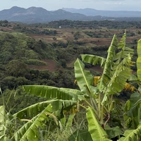 Фото отзыва 2: экскурсия "Остров Лусон: главное за один день"