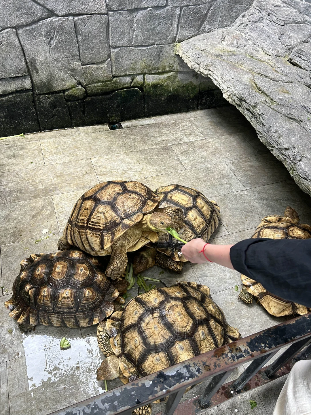 Были на обзорной экскурсии у Владимира. Все прошло как и договаривались, нас забрали из отеля и