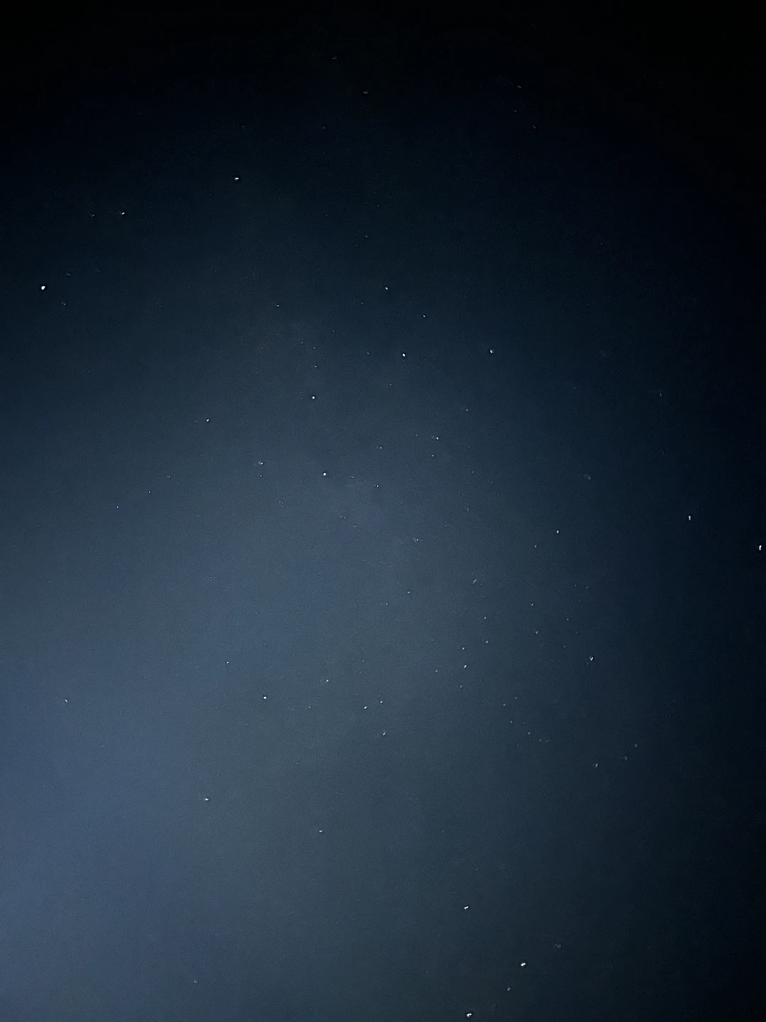 Ночная прогулка на верблюдах по-бедуински (Мария)