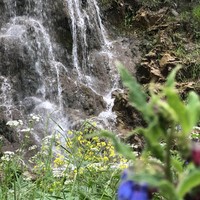 Фото отзыва 1: экскурсия "Джилы-Су: путешествие к северному подножию Эльбруса"