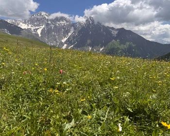 Путешествие в мир Средневековья