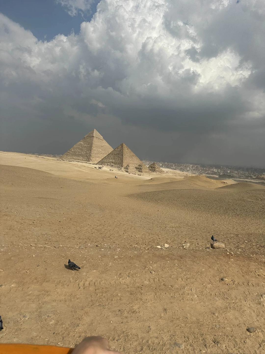 Наша экскурсия прошла замечательно, можем смело рекомендовать гида Саида