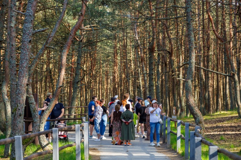 Велопрогулка по Куршской косе