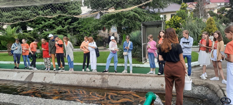 Форелевое хозяйство + шоу стеклодувов: экскурсия из Адлера