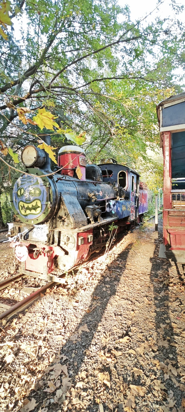 Прекрасная экскурсия) Мне всё очень понравилось, большое спасибо!