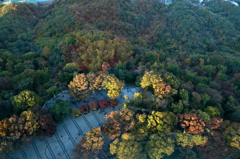 Путешествие по Южной Корее: 2 мегаполиса и курортные острова Чеджудо и Удо