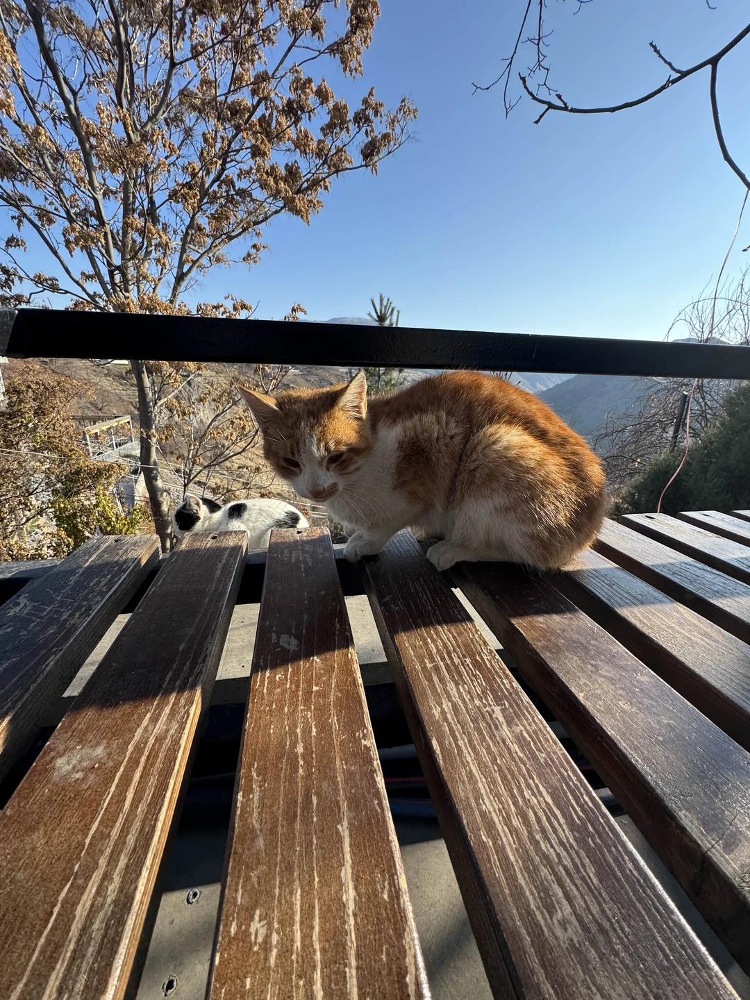 После экскурсии с Араратом вы полюбите Армению всей душой и захотите вернуться