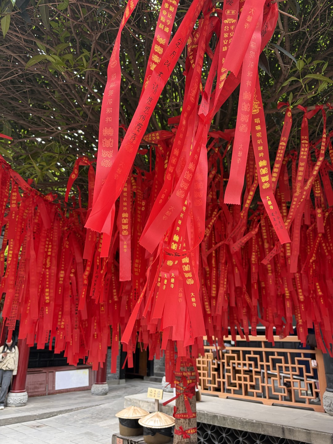 Гид Женя встретил нас утром в аэропорту