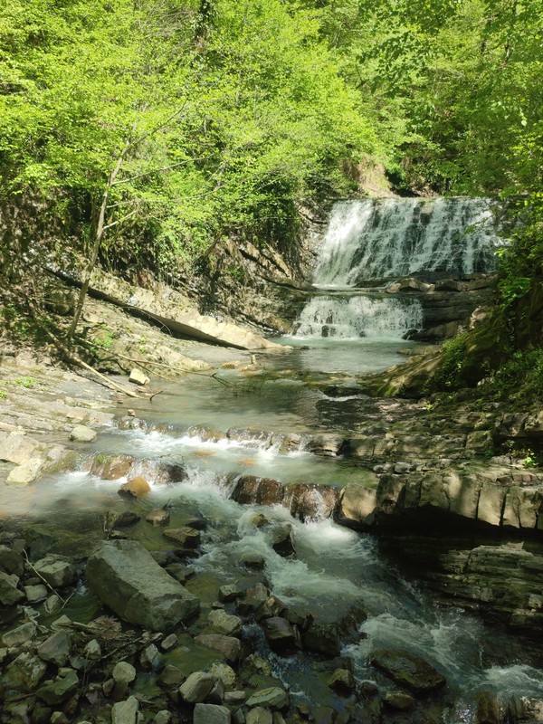 Виды Чайное путешествие по Сочи — из Адлера