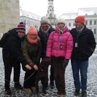 Фото отзыва 1: экскурсия "🟡  Будапешт как на ладони: смотровые площадки Буды"