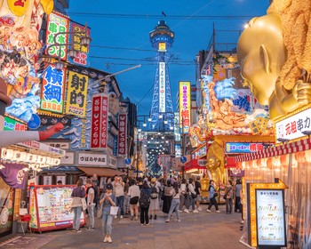 Храм Namba Yasaka Jinja и программа по желанию