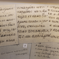Фото отзыва 4: экскурсия "По следам императоров: Царское Село, Павловск и Гатчина"