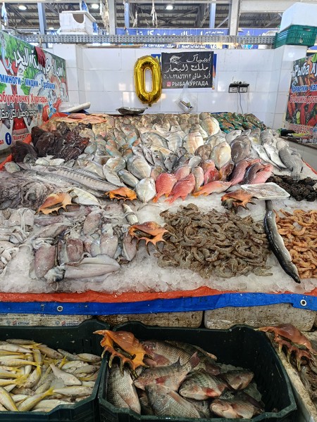 Екатерина и Ваэль,выражаем вам огромную благодарность за прекрасно проведённое время. Экскурсия организована прекрасно,локации подобраны идеально,чтобы погрузиться