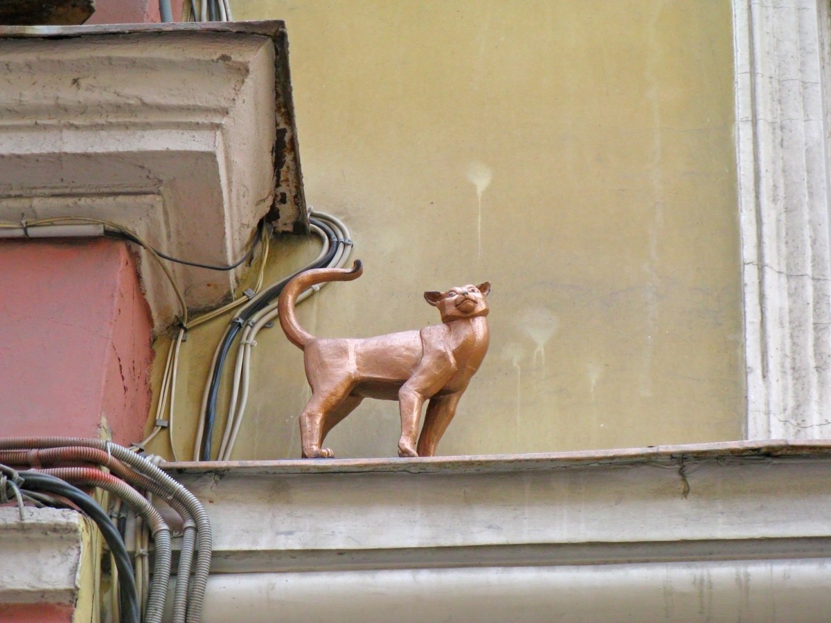 От кошек до слонов: семейное путешествие по Петербургу