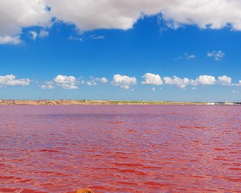 Розовое озеро и радужные горы