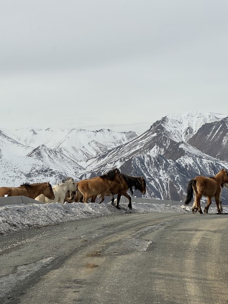 Отличная экскурсия, много красивых локаций