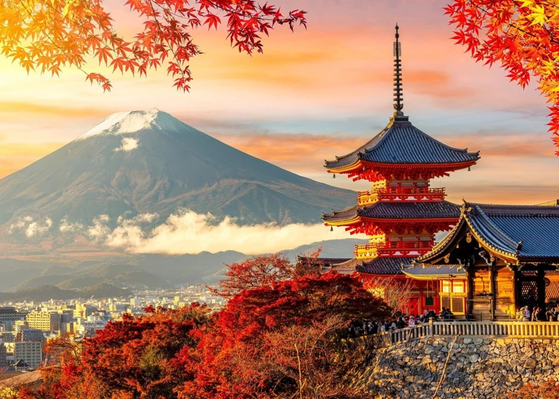 Киото Сити Пасс на 365 дней