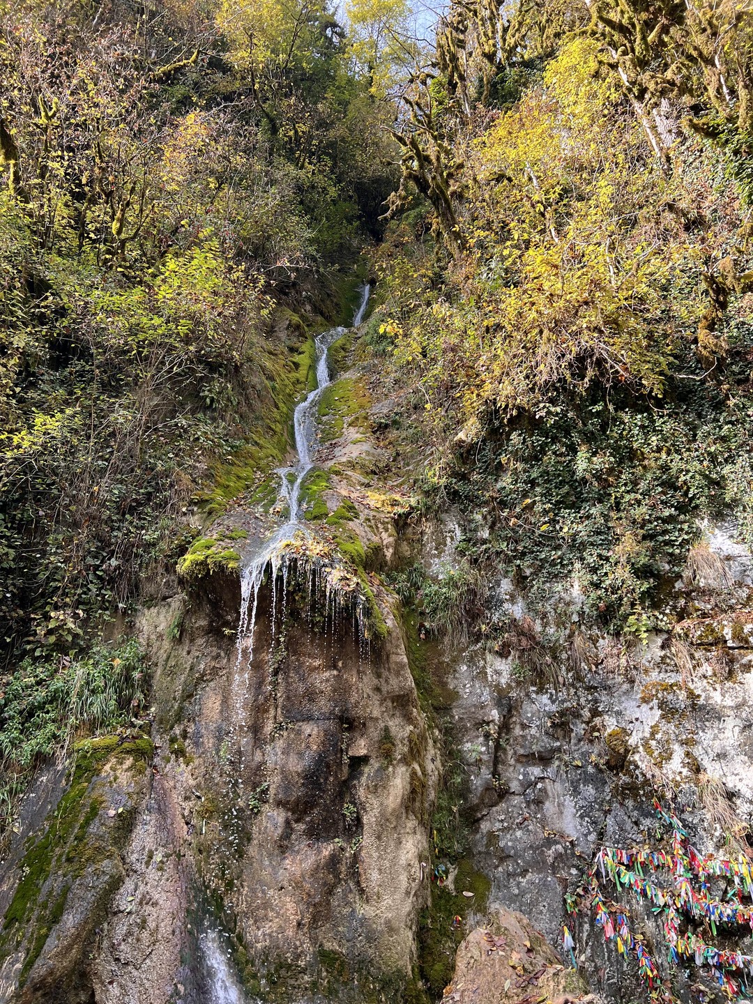 На Рицу - на кабриолете (Настасья)