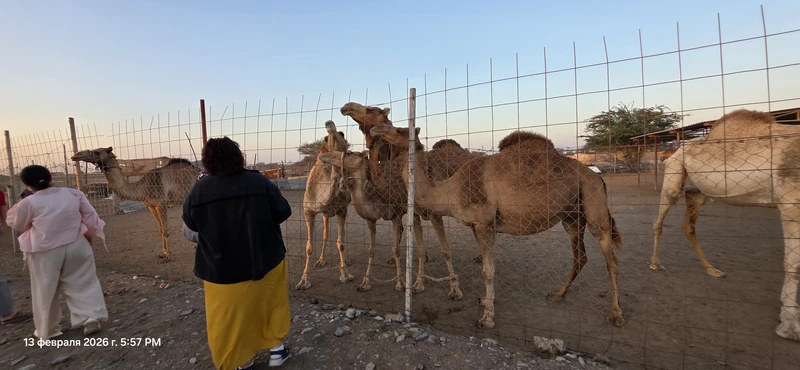 Поездка прошла легко, хорошая компания, гид, всё чётко организовано! Немного хотелось больше истории. Но все прошло на отлично!