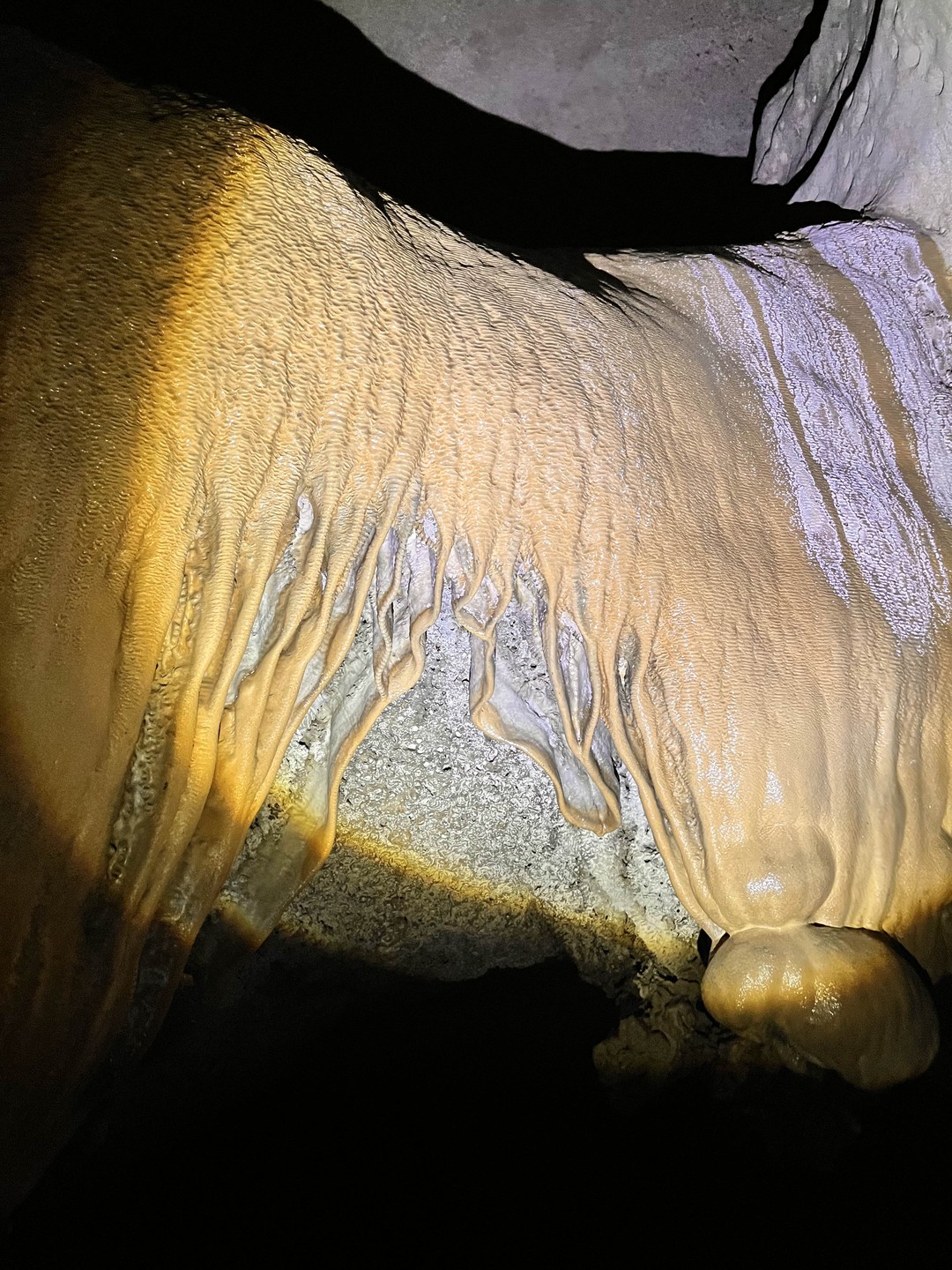 Заказали экскурсию у Елены и Ростислава и не пожалели. Познавательно, насыщенно, интересно. Ростислав прекрасный рассказчик. Видно,