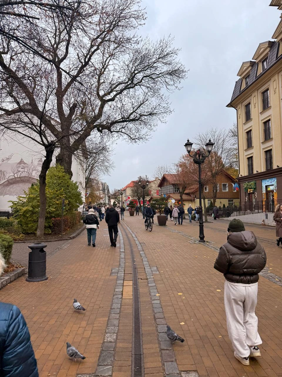 Утренняя Куршская коса, Зеленоградск и замок Нессельбек на автобусе (Максим)