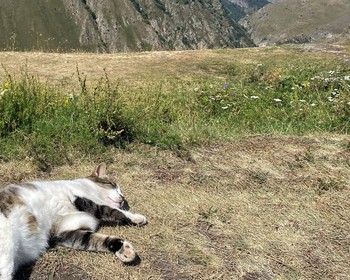 Осетинские герои в Дигории