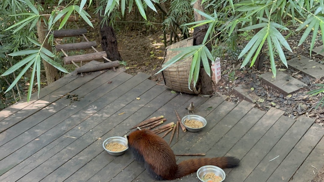 Спасибо Ольге за такую замечательную, познавательную и интересную экскурсию. Прекрасный рассказчик и собеседник. Сразу нашла общий