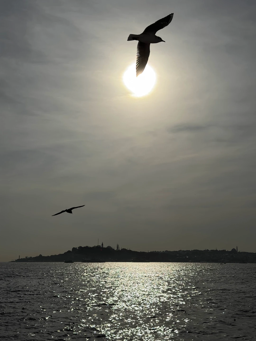 Алена отличный экскурсовод! Рассказала множество интересных фактов о Стамбуле, учитывала пожелания во время маршрута и даже