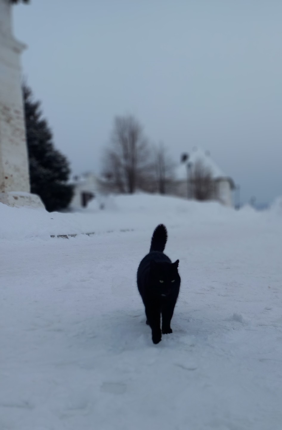 Великолепная экскурсия! Замечательная Светлана❤️ Горы снега и не самая тёплая погода нисколько не испортили нашу долгожданную