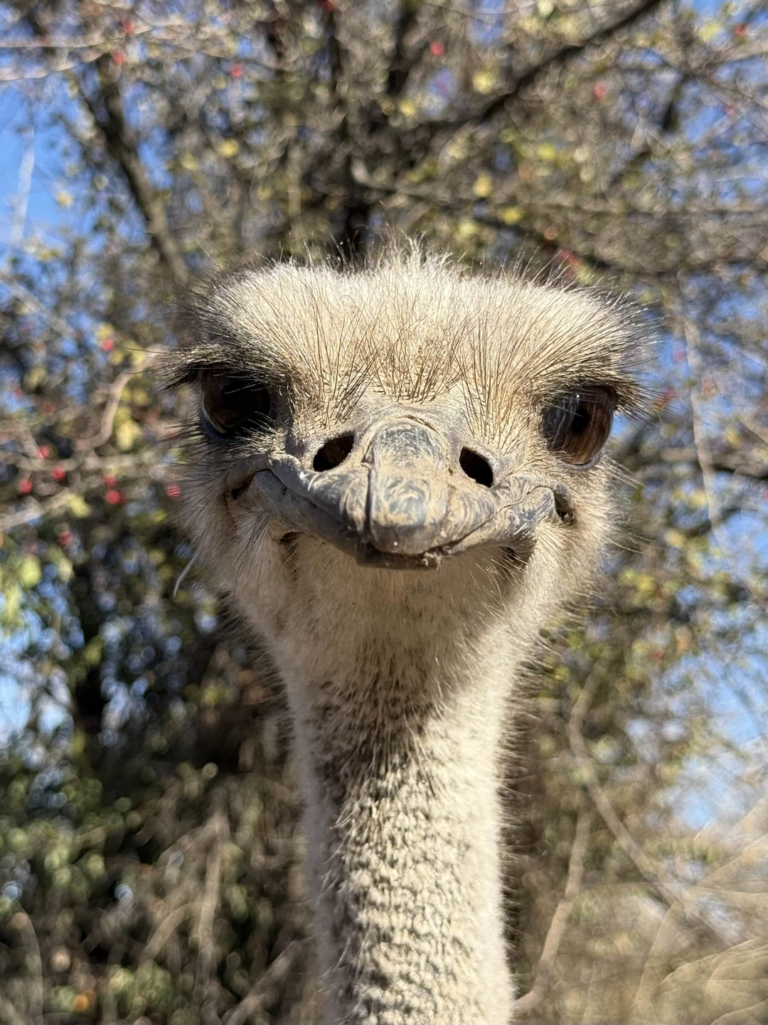 Замечательная и очень познавательная экскурсия. Равшан - прекрасный гид, человек любящий свою страну и знающий историю