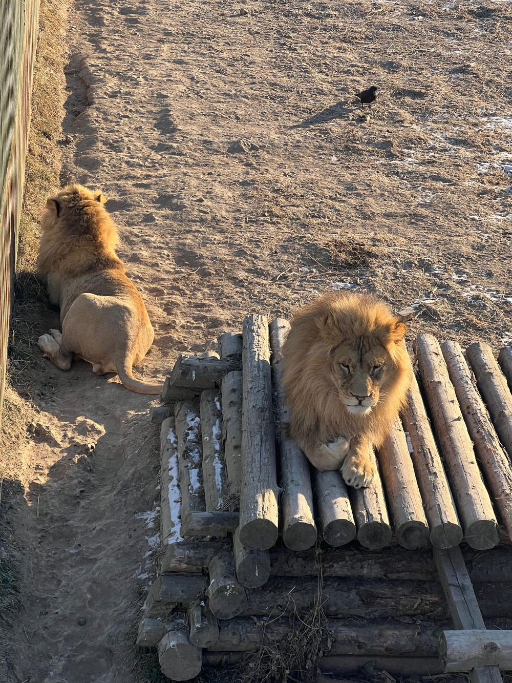 Бухты южного Приморья и парк «Белый лев» — из Владивостока (14/20)