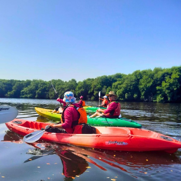 Каякинг по мангровому заповеднику - фламинго и дикая природа Аджмана