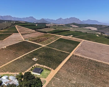 Виноделие ЮАР