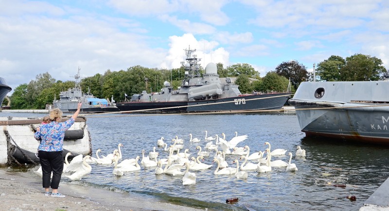 Фото 15 - Автопутешествие в Балтийск, Янтарный, Светлогорск и Филинскую бухту