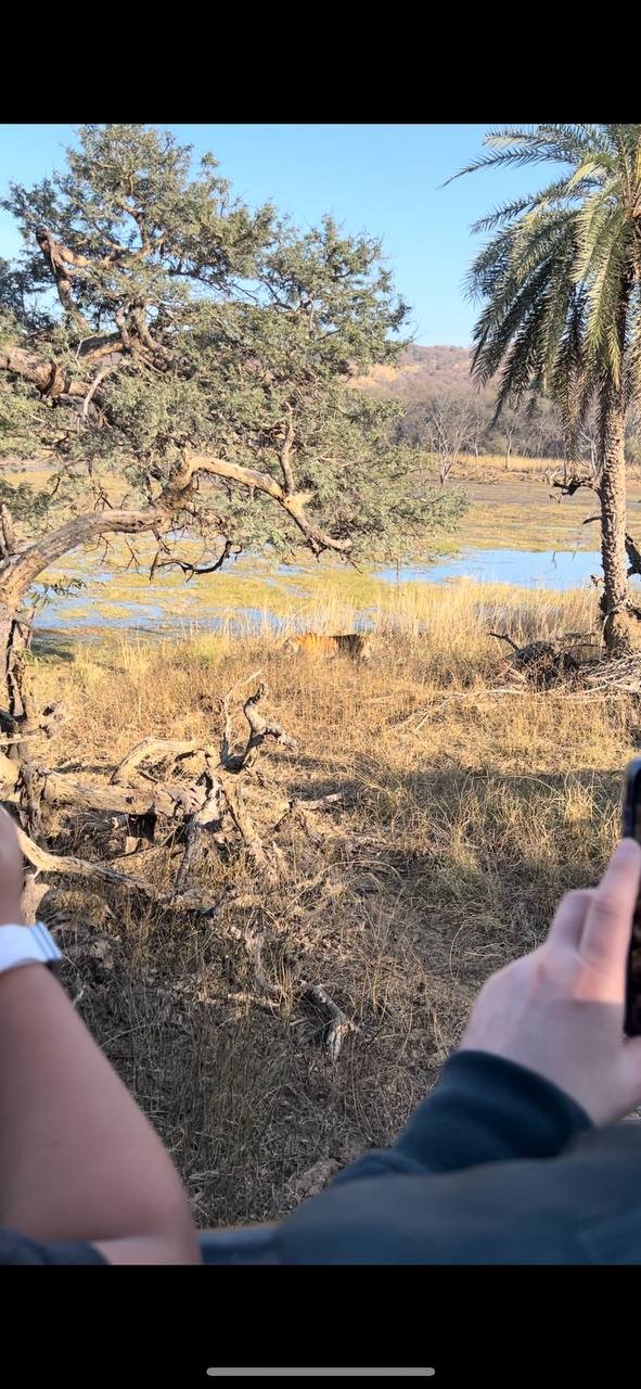 Все организовано отлично! Водитель возил нас неделю по городам Индии, координировал нас и наших гидов, показывал