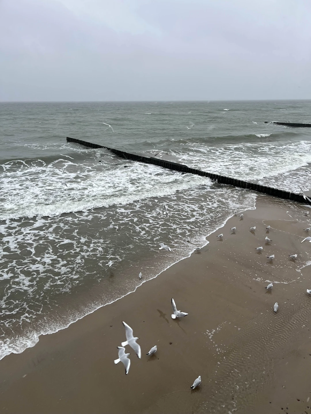 Классная экскурсия. Достаточно свободного времени, чтобы насладиться природой, видами, поделать фотографии. Артём интересный рассказчик, хорошо знает