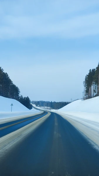Свое увлекательное путешествие мы провели в компании с Галиной. Посетили Академгородок и конечно же великолепный Томск