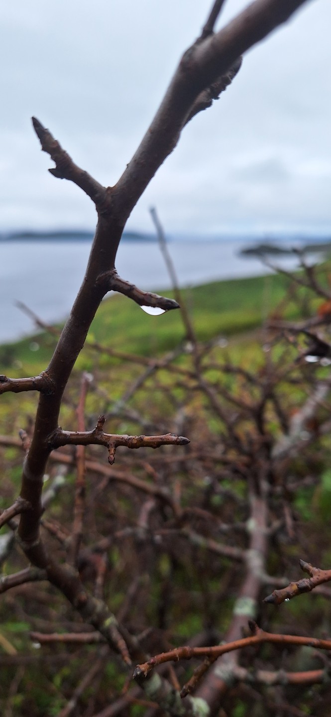 Ездила на экскурсию с Кариной