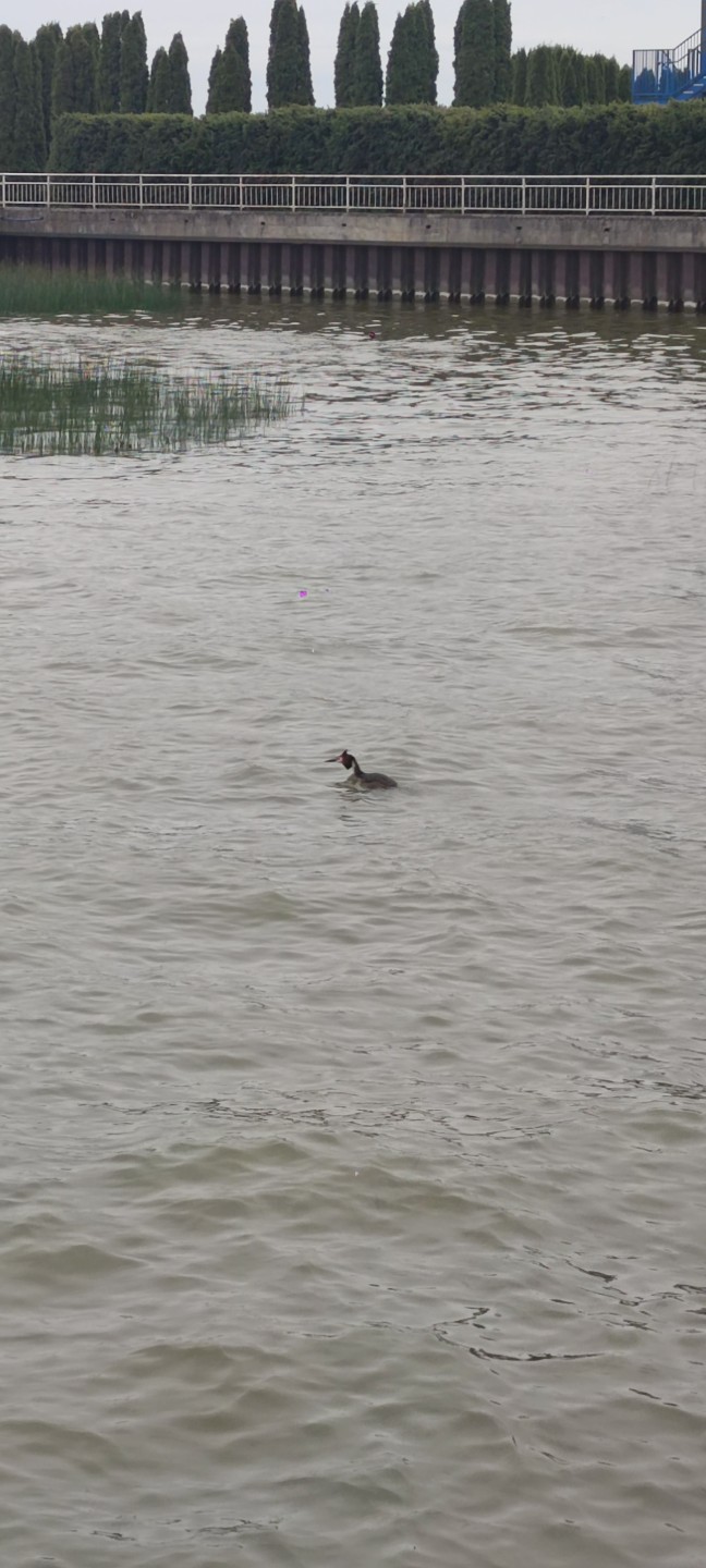 Отдыхали с подругой в Калининграде, заранее забронировали экскурсию, меня привлекла цена и качество материала. Так же