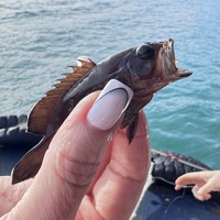 Фото отзыва 2: экскурсия "Морское путешествие в Нячанге (всё включено)"