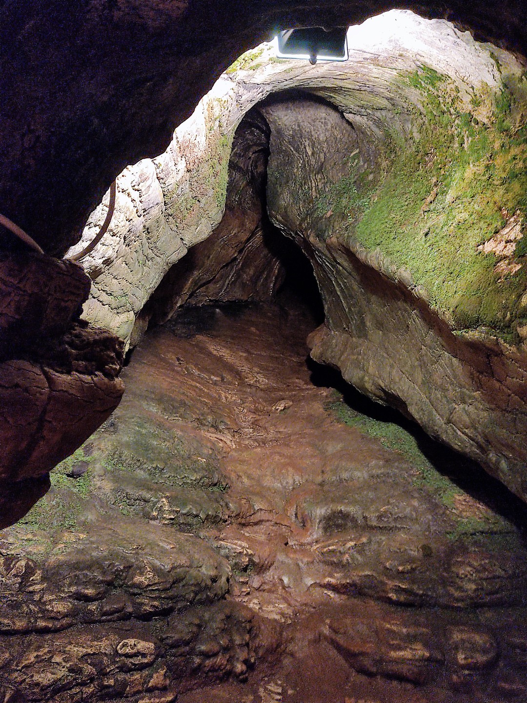 Анастасия отличный гид! Маршрут подстроила под нас. Провела потрясающую экскурсию и рассказала много интересного об истории