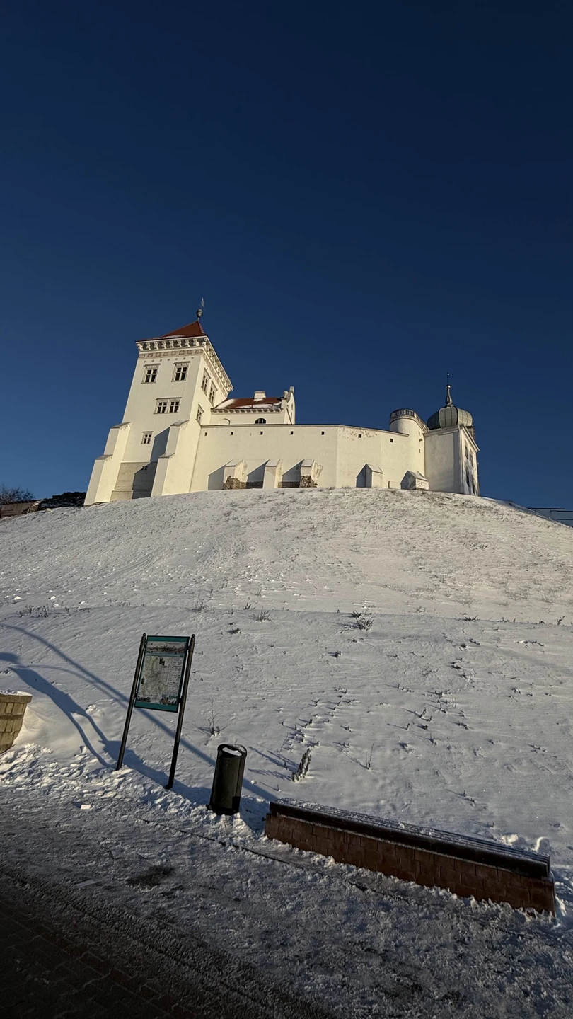 Королевский город Гродно (Елена)