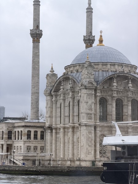 Прекрасная экскурсия, прекрасный гид Bora! Несмотря на плохую погоду, насладились историей города, проплыли по Босфору (с