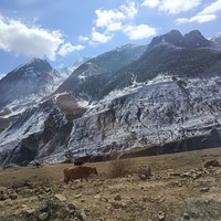 Фото отзыва 5: экскурсия ""