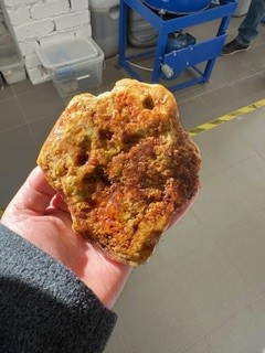 Незабываемый день на Балтике с отличным гидом!