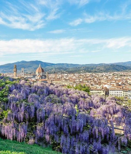 Сады Боболи