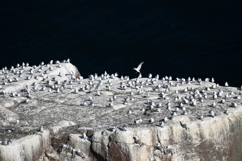 Териберка - море впечатлений