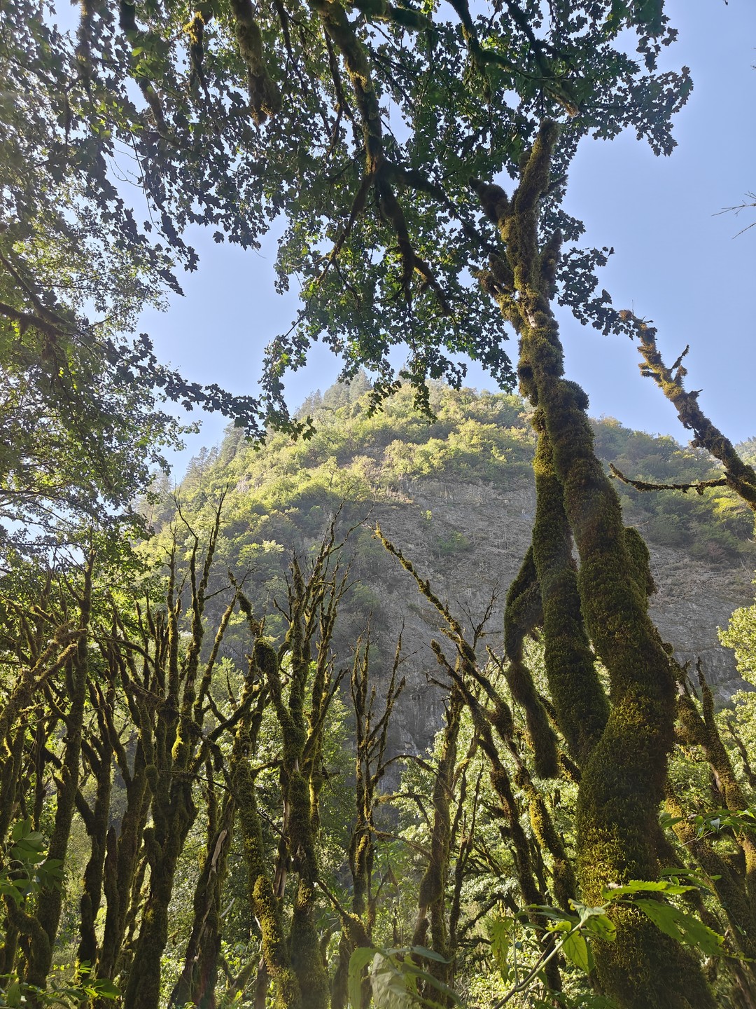 Необыкновенная Абхазия - в индивидуальном формате из Сочи (Александр)