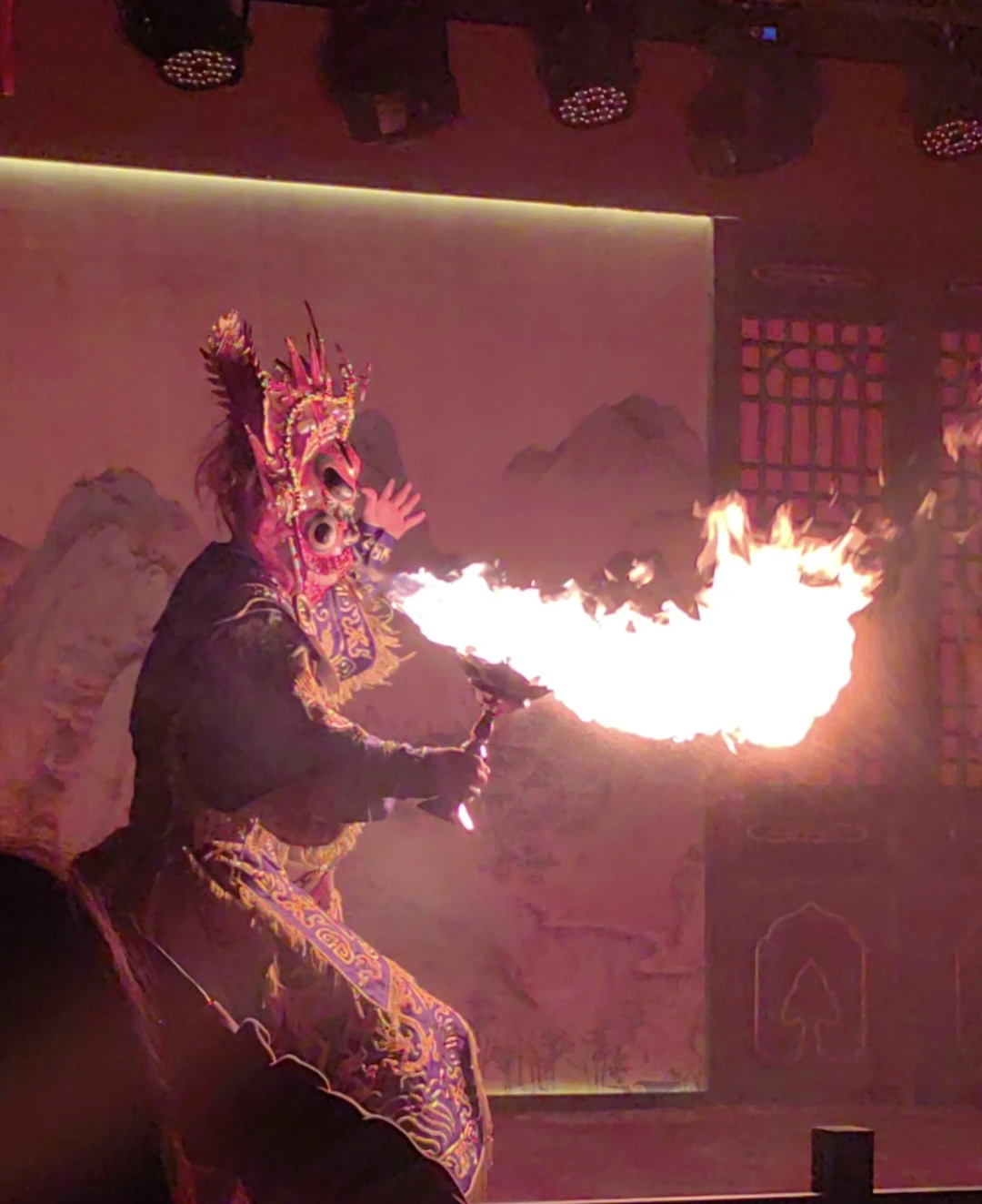 У нас была идеальная программа во время пересадки в Чэнду! У нас было всего около 10