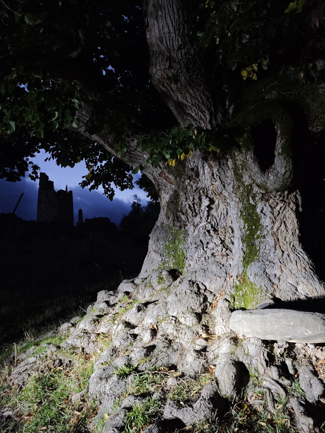 Плотная экскурсия, по-хорошему, если у вас есть еще день или два в запасе – лучше расширить